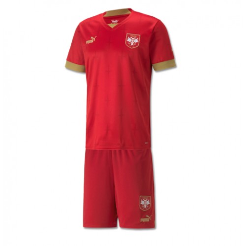Maillot de foot Serbie Domicile enfant Monde 2022 Manches Courte (+ pantalon court)